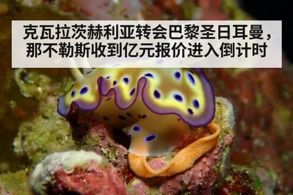 克瓦拉茨赫利亚转会巴黎圣日耳曼，那不勒斯收到亿元报价进入倒计时